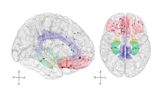 best books on computational neuroscience