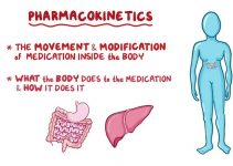 8 Best Pharmacokinetics Textbooks (2024 Review)
