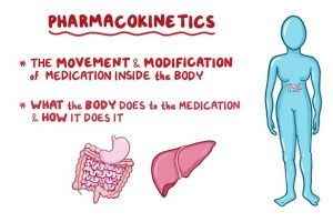 8 Best Pharmacokinetics Textbooks (2024 Review)