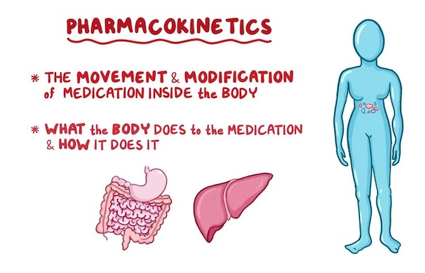 best pharmacokinetics textbooks