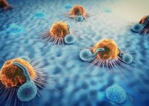 7 Best Immunology Textbooks (2023 Review)