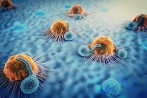 7 Best Immunology Textbooks (2023 Review)