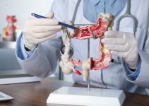 5 Best Gastroenterology Textbooks (2024 Review)