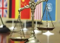 5 Best International Law Textbooks (2024 Review)